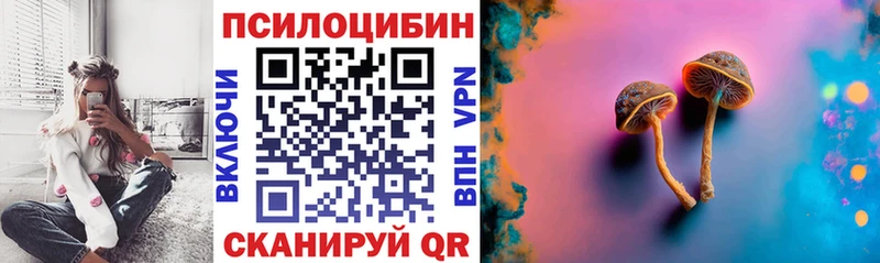 Псилоцибиновые грибы прущие грибы  Купить закладки  Мценск 